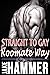 Straight to Gay the Roommate Way by Jake Hammer