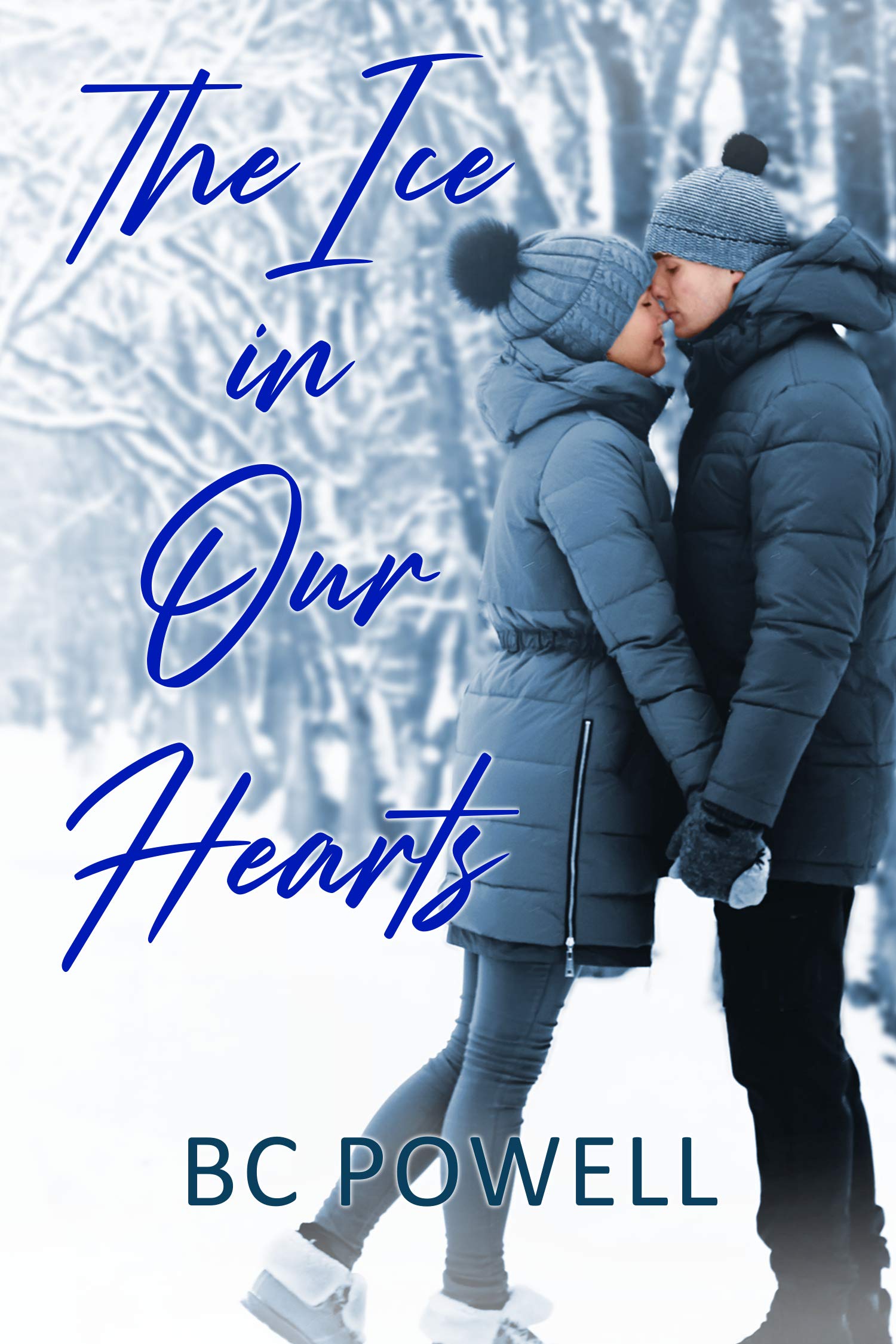 The Ice in Our Hearts (Kindle Edition)