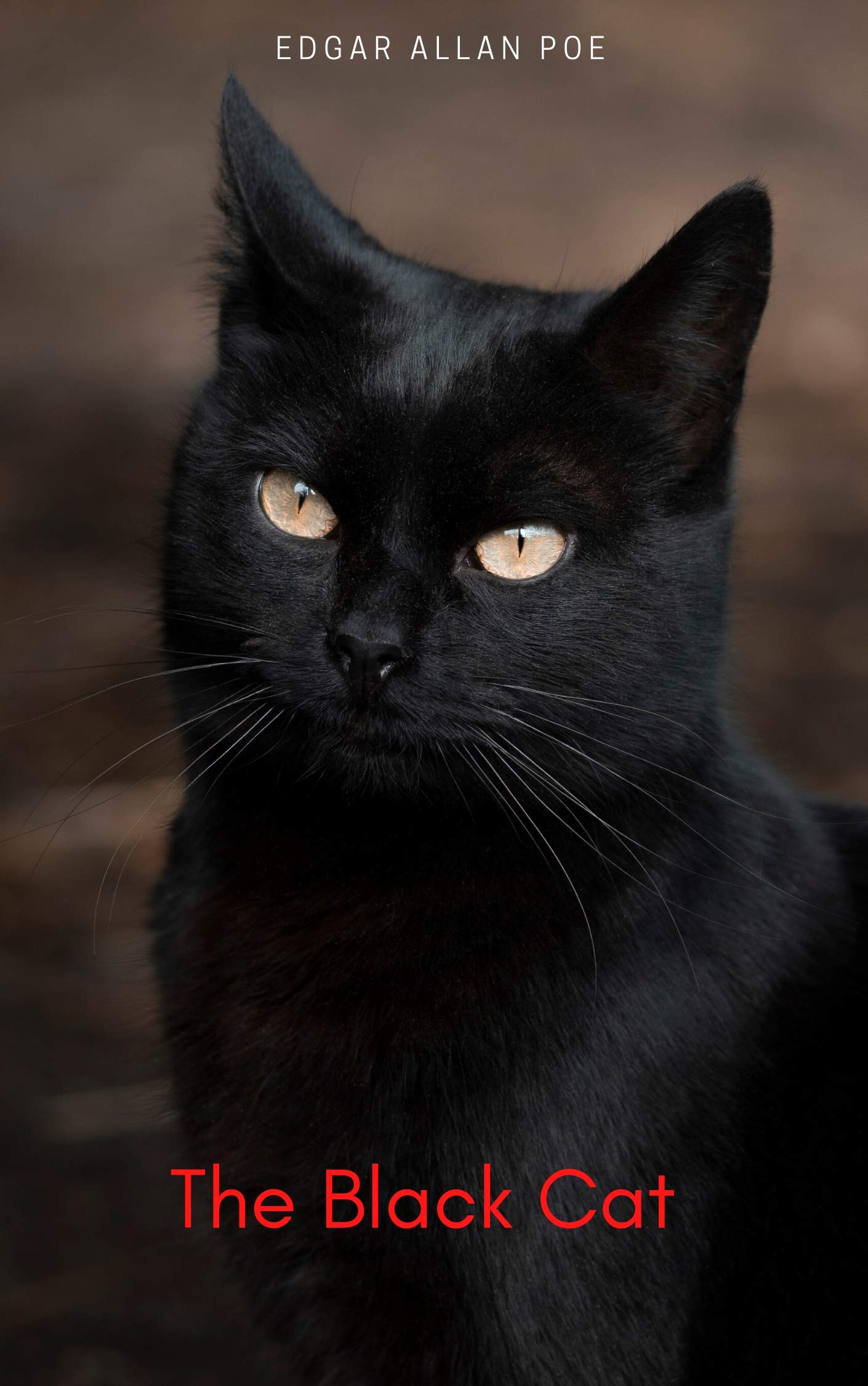 The Black Cat