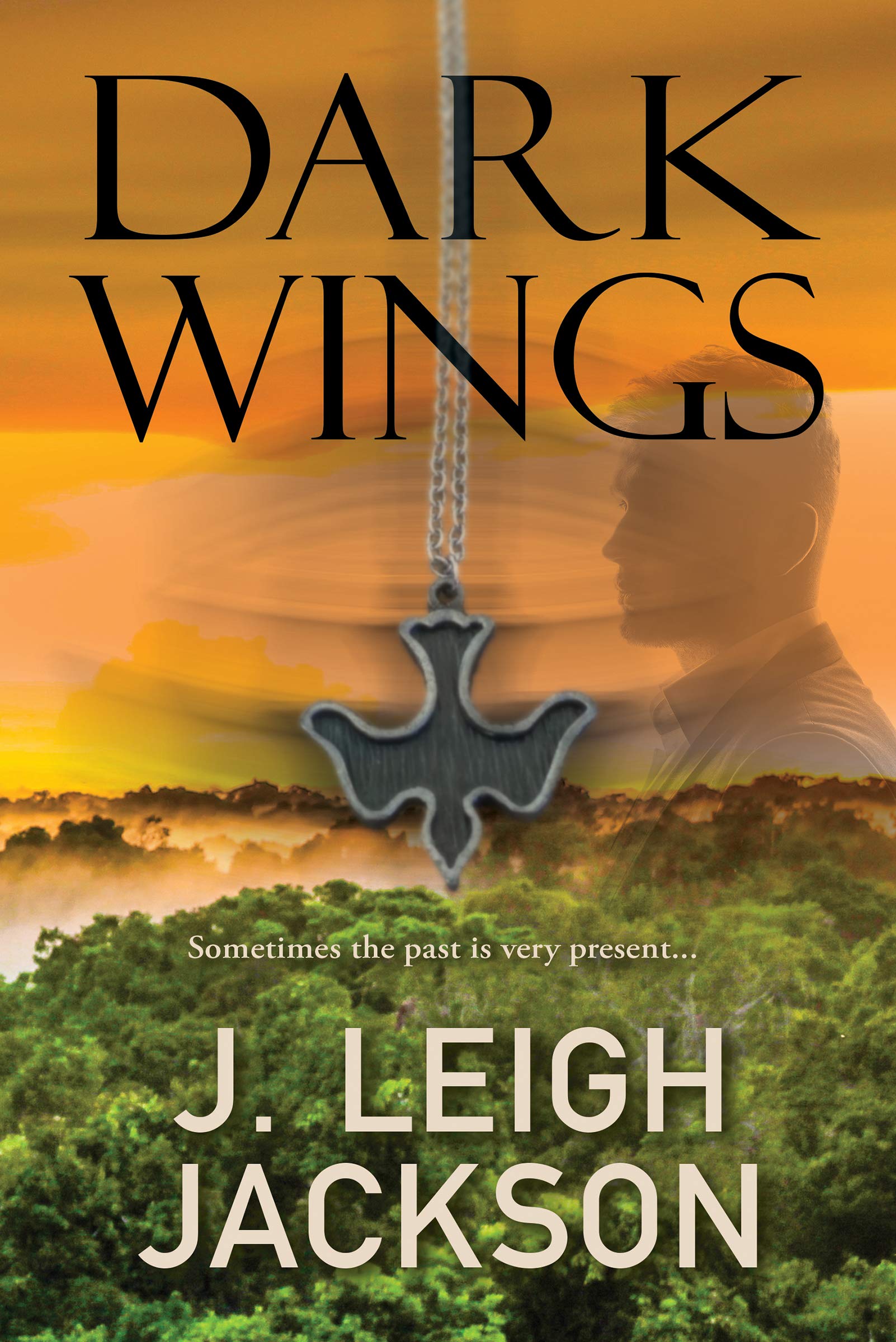 Dark Wings (Porter Leighton Suspense Series Book 1)