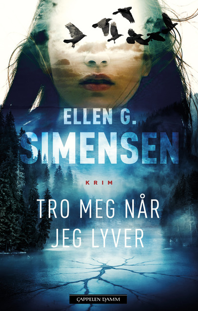 Tro meg når jeg lyver (Hardcover)