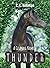 A Gelding Named Thunder (The Morning Star Stables, #1)