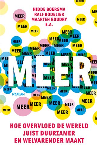 Meer: Hoe overvloed de wereld juist duurzamer en welvarender maakt (Paperback)