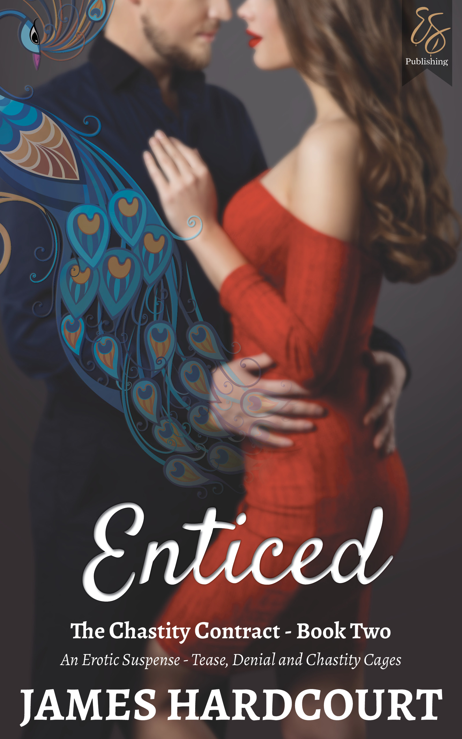 Enticed: An Erotic Suspense - Tease, Denial and Chastity Cages (The Chastity Contract #2)