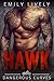 Hawk: An Older Alpha Biker Curvy Woman Romance (Dangerous Curves MC Book 2)