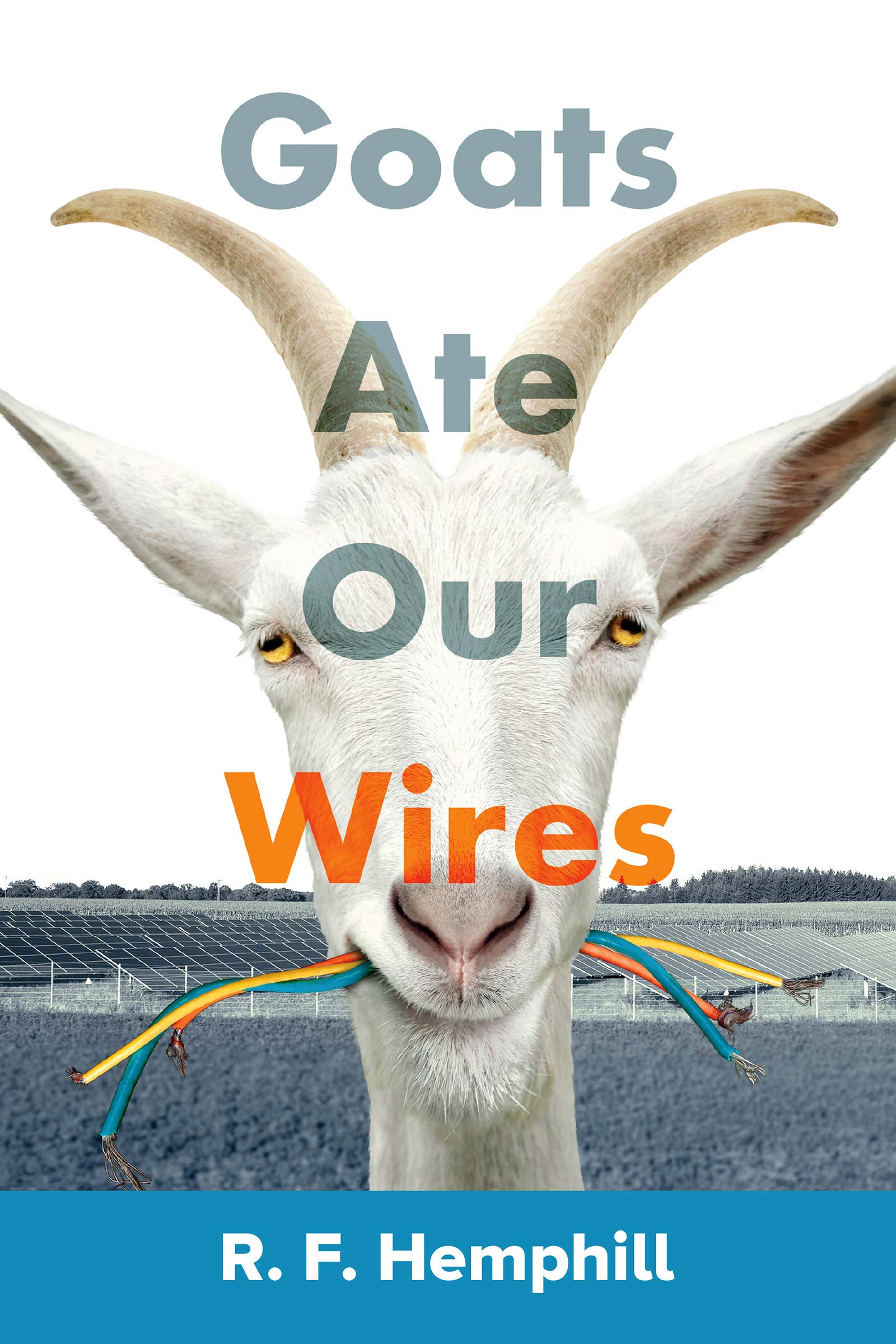 Goats Ate Our Wires: Stories of Travel for Business and Pleasure (Kindle Edition)