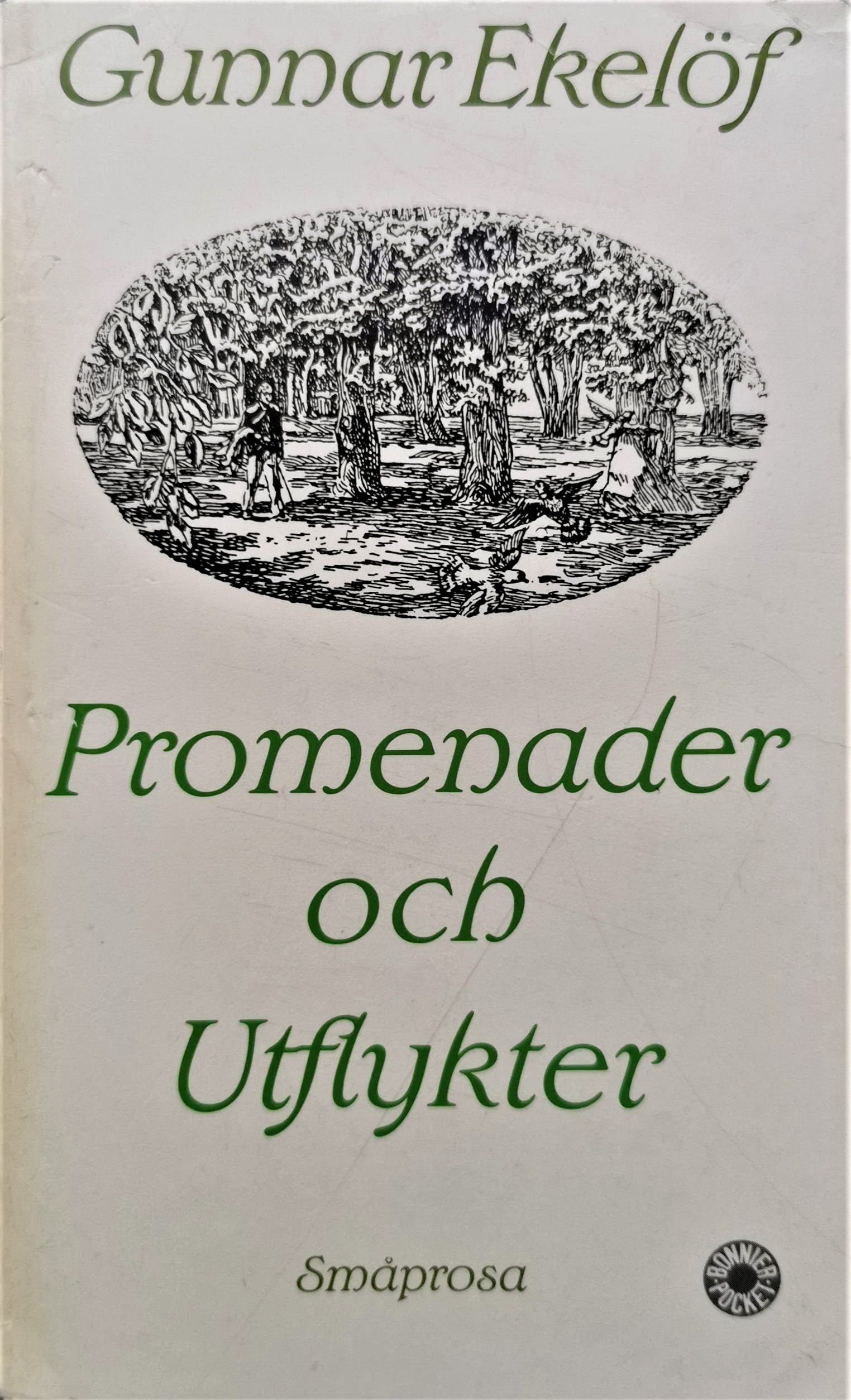 Promenader och Utflykter (Paperback)