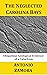 The Neglected Carolina Bays: Ubiquitous Geological Evidence of a Cataclysm