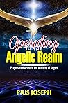 Operating in the Angelic Realm: Prayers that Activate the Ministry of Angels