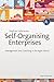 Self-Organising Enterprises by Siegfried Kaltenecker