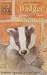 Badger in the Basement by Lucy Daniels