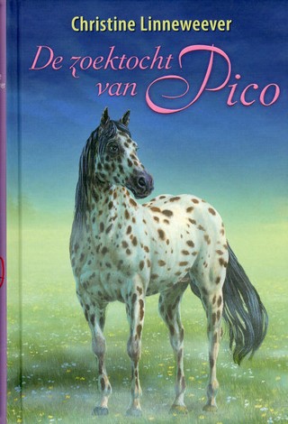 De zoektocht van Pico (Hardcover)
