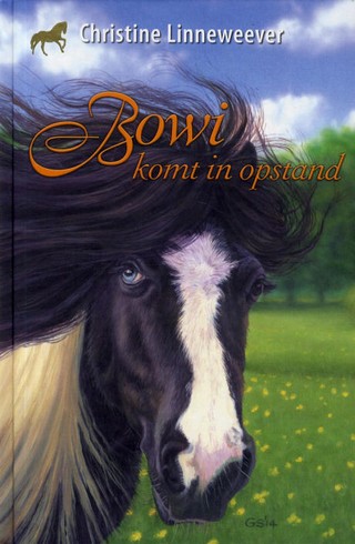 Bowi komt in opstand