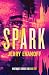 Spark: A Time Travel Dystop...