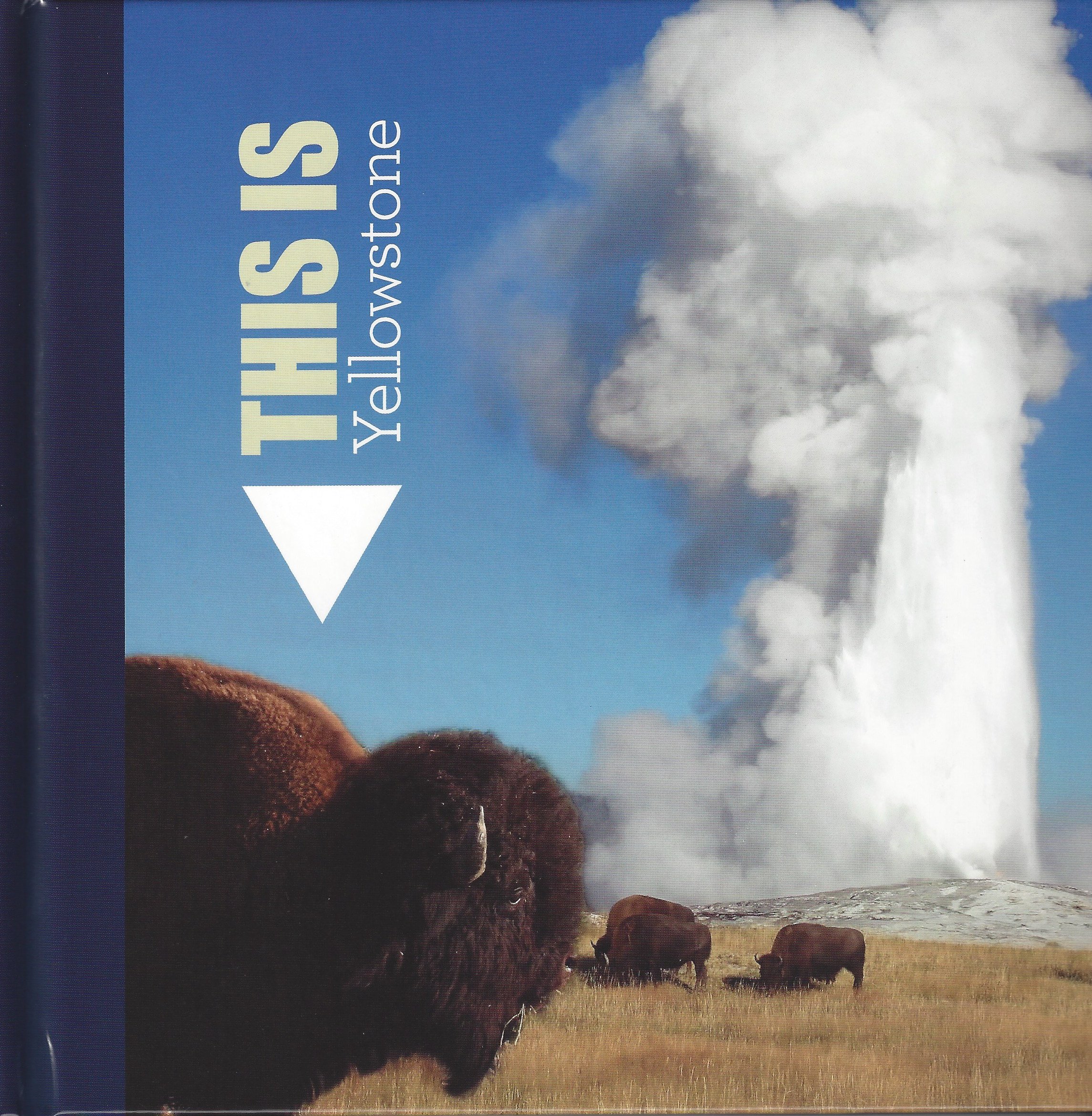 This Is Yellowstone (Hardcover)