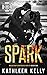 Spark (MacKenny Brothers #1)