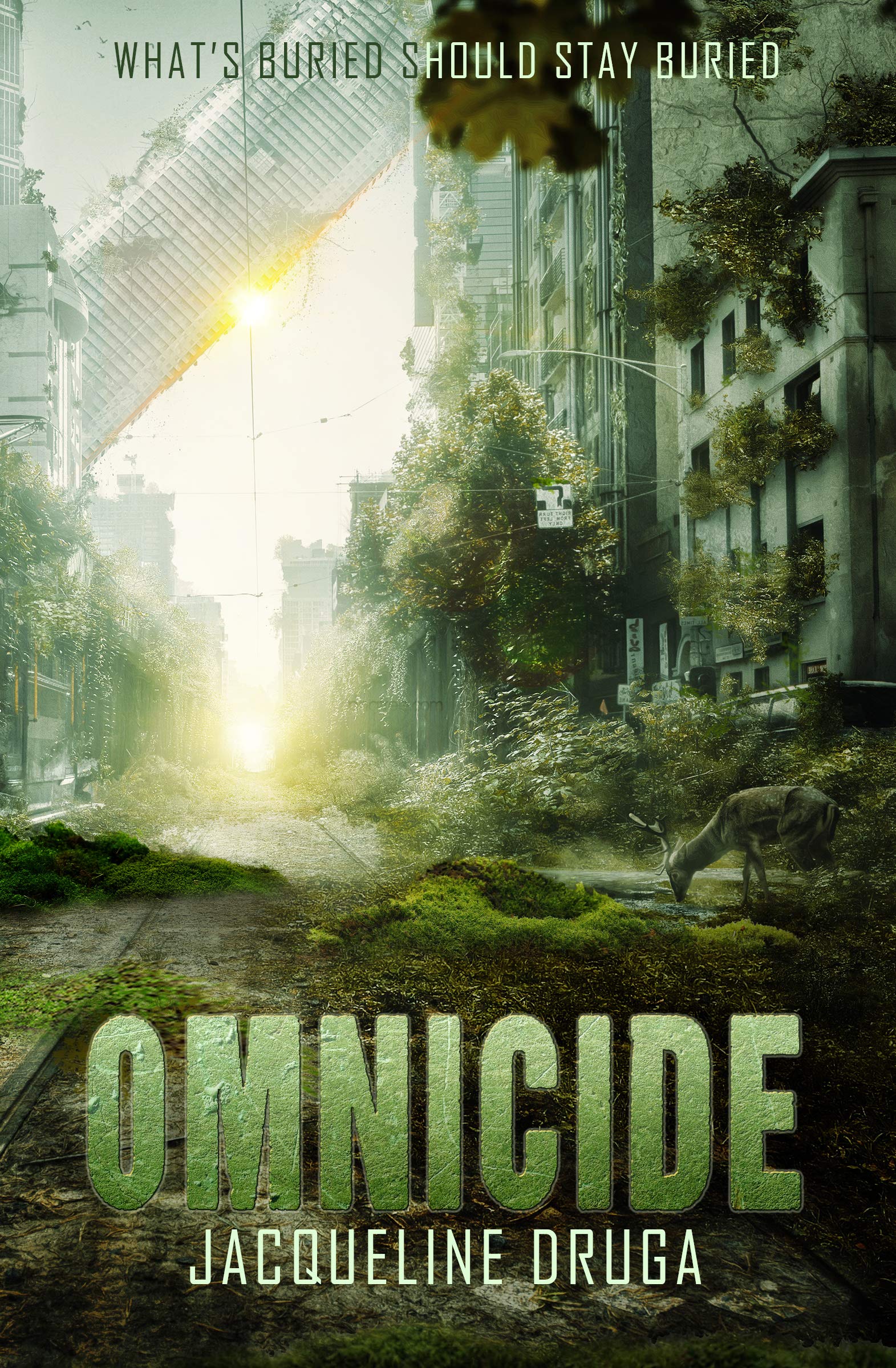 Omnicide (Kindle Edition)