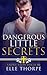 Dangerous Little Secrets (Saint View High, #2)