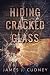 Hiding Cracked Glass (Perceptions of Glass #2)