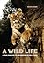 A Wild Life: A Visual Biography of Photographer Michael Nichols