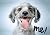 Rescue Me: Dog Adoption Por...