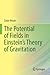 The Potential of Fields in Einstein's Theory of Gravitation
