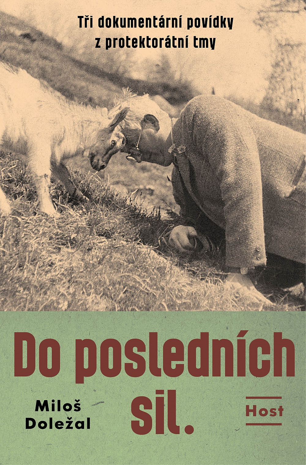 Do posledních sil (Hardcover)