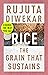 Rice: The Grain that Sustains