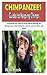 Chimpanzees Guides to Keeping Chimps: Everything you need to know about keeping the chimpanzees, their behavior, how to care for them and more