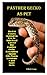 Panther Gecko as Pet: The p...