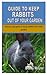 Guide to Keep Rabbits Out of Your Garden by Bobby Wayne