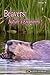 Beavers by Richard A Nesmith