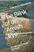 The Blink of an Amish Eye: ...