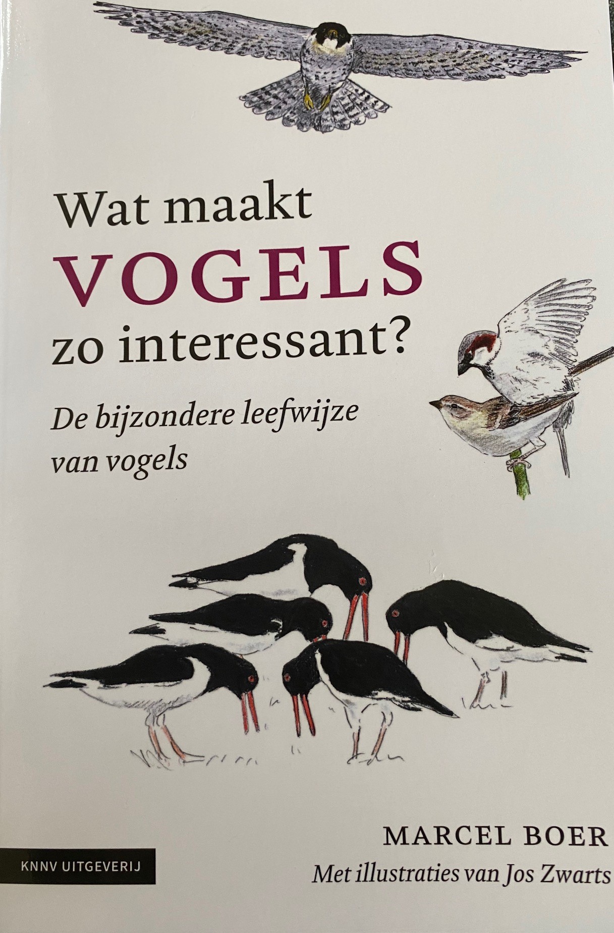 Wat maakt vogels zo interessant?