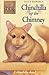 Chinchilla Up the Chimney (Animal Ark, #42)