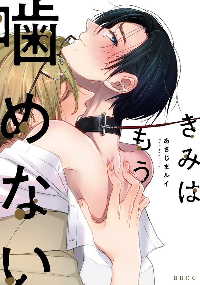 Kimi wa mou kamenai (Paperback)