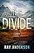 The Divide by Ray Anderson