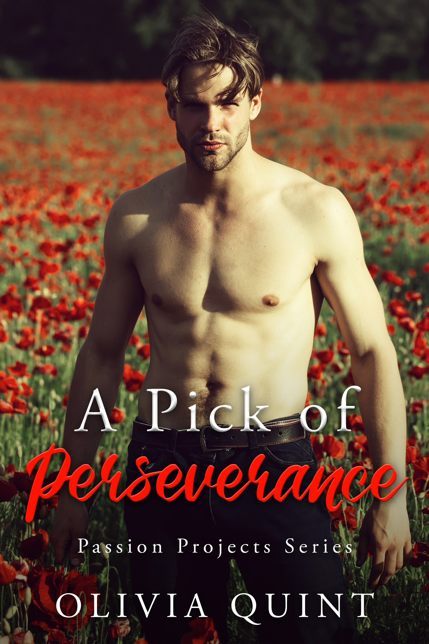 A Pick of Perseverance (Passion Projects Series Book 3)