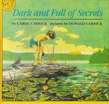 Dark and Full of Secrets (Paperback)