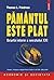 Pamintul este plat. Scurta istorie a secolului XXI