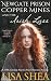 Newgate Prison Copper Mines and the The Irish Lass (Newgate Prison Copper Mines Book 1) by Lisa Shea