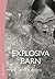 Explosiva barn