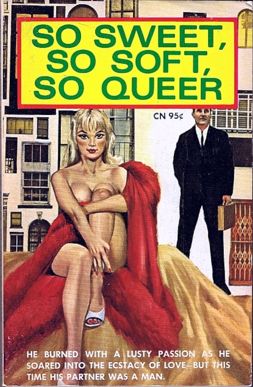 So Sweet, So Soft, So Queer (Paperback)