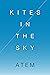Kites in the Sky