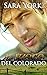 Il fuoco del Colorado (Colorado Heart #2)