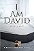 I Am David: A Pastor's Fall Into Grace