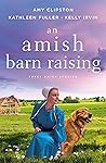 An Amish Barn Rai...