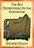 THE BOY APPRENTICED TO AN ENCHANTER - Intrigue, Magical Mystery, Action & Adventure by Padraig Colum