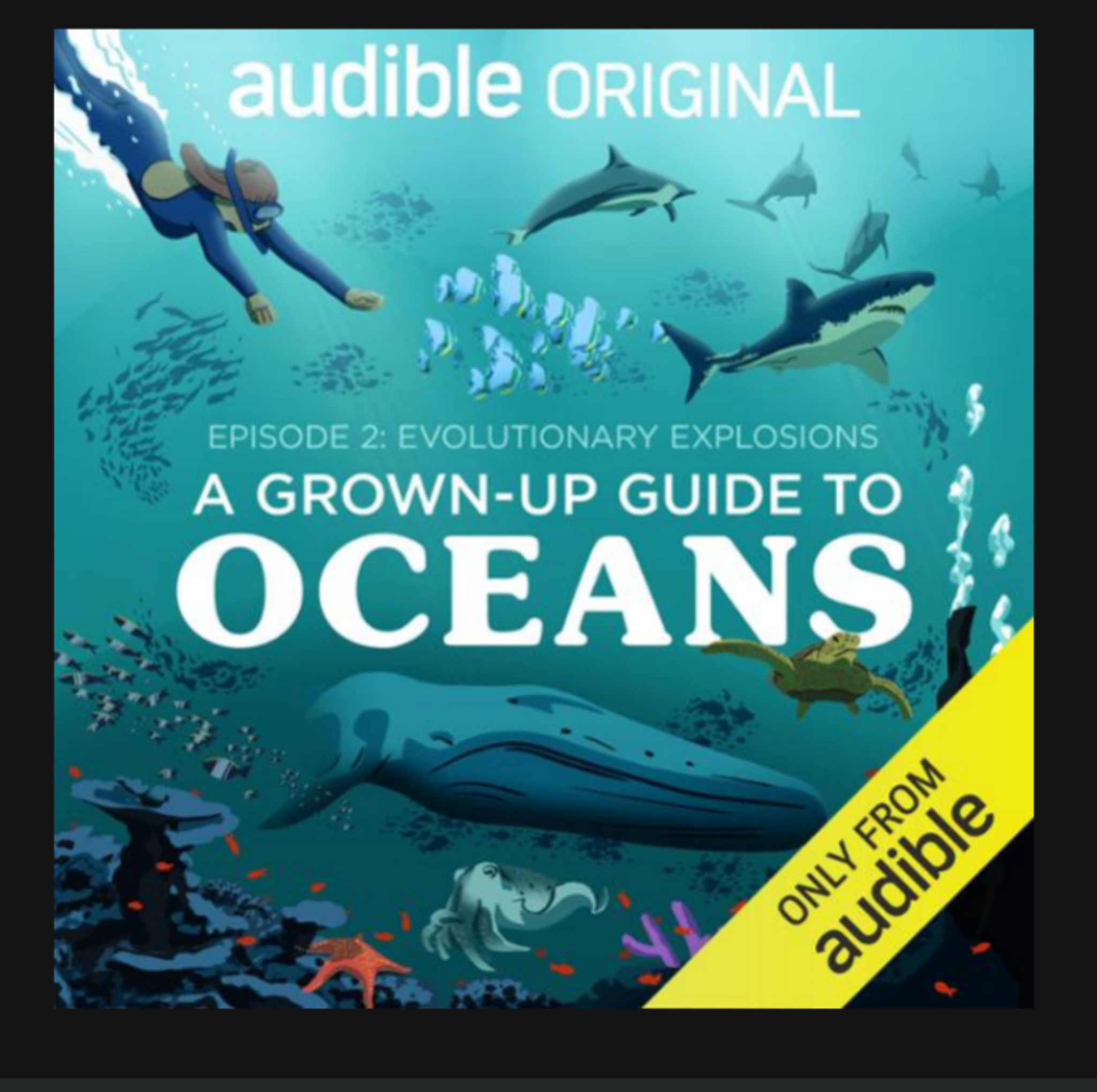 A Grown-up Guide to Oceans Audible Original (Unknown Binding)
