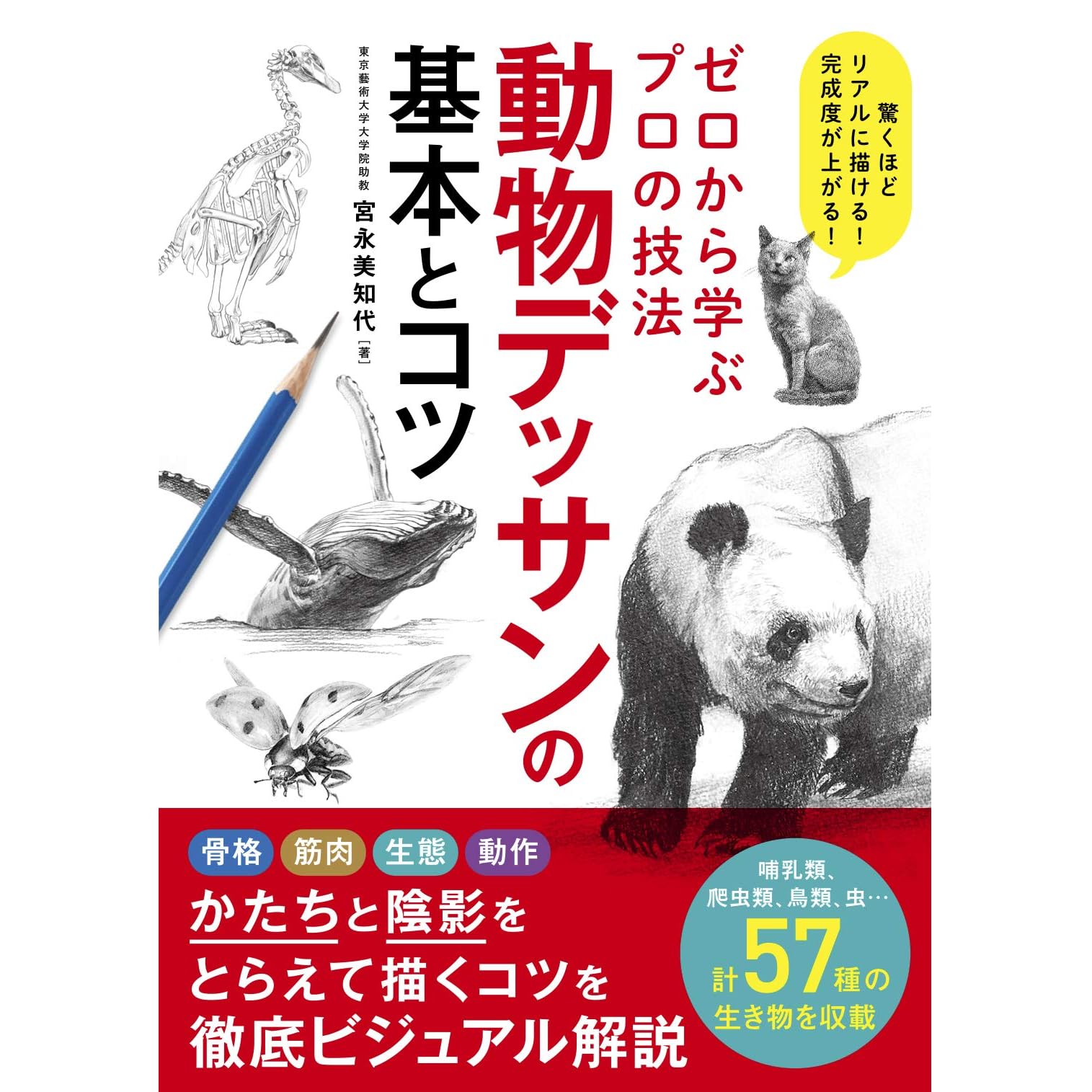 ゼロから学ぶプロの技法 動物デッサンの基本とコツ By 宮永 美知代